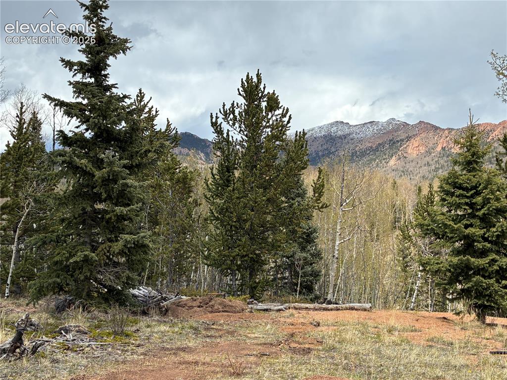 12201 S Highway 67