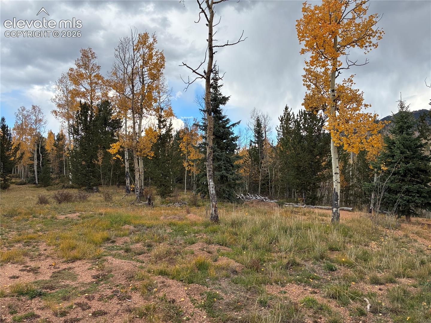 12201 S Highway 67