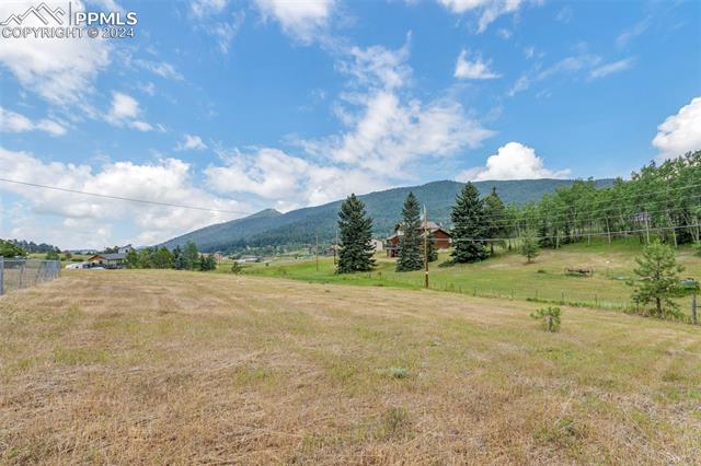 26274 Cornelius Street