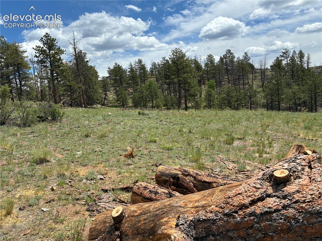 266 Chapparal Trail