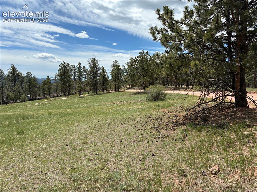 266 Chapparal Trail