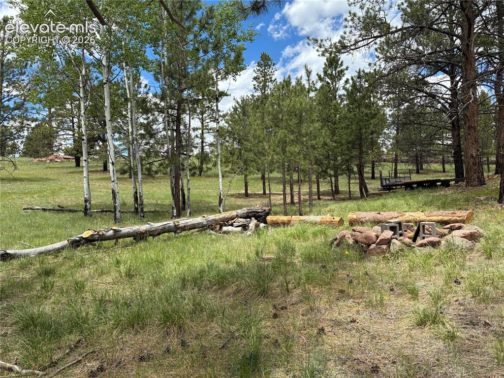 266 Chapparal Trail