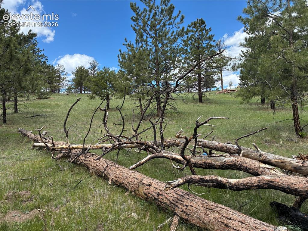 266 Chapparal Trail