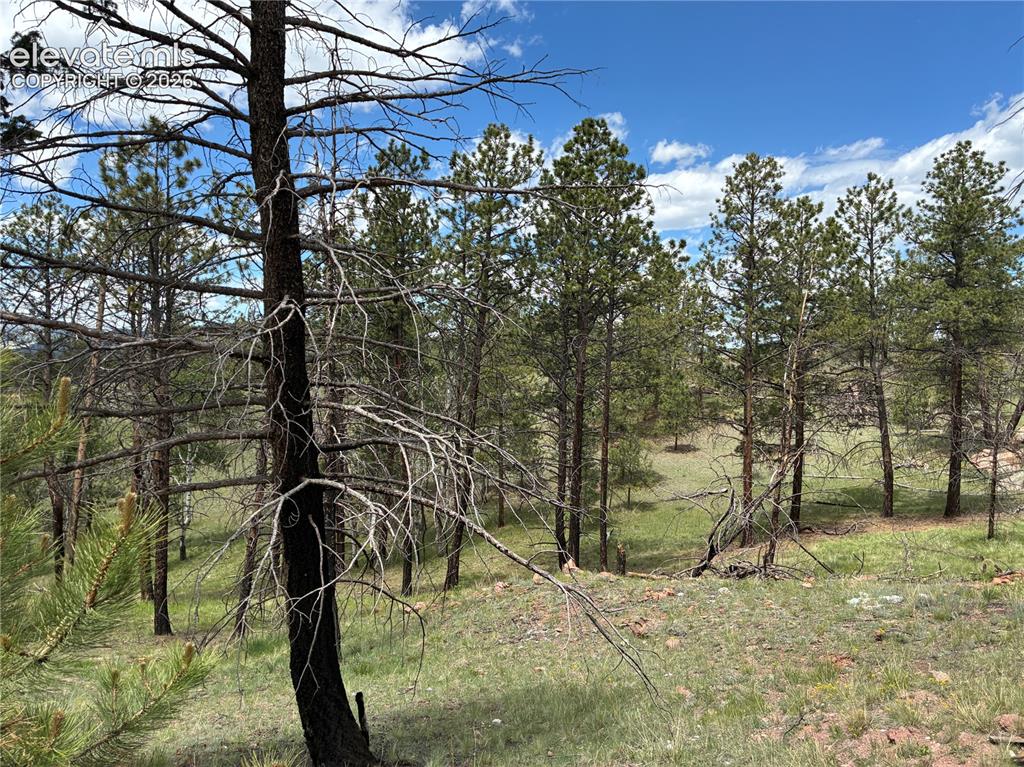 266 Chapparal Trail