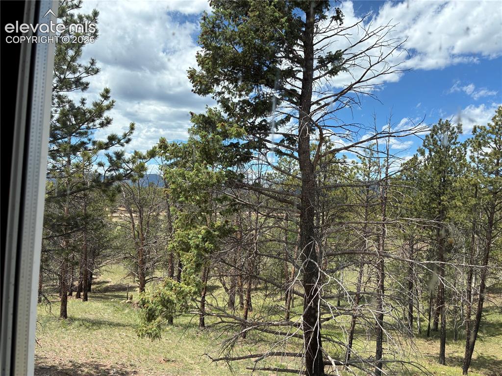 266 Chapparal Trail
