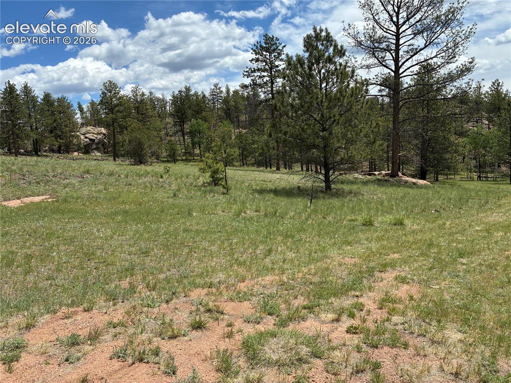 266 Chapparal Trail