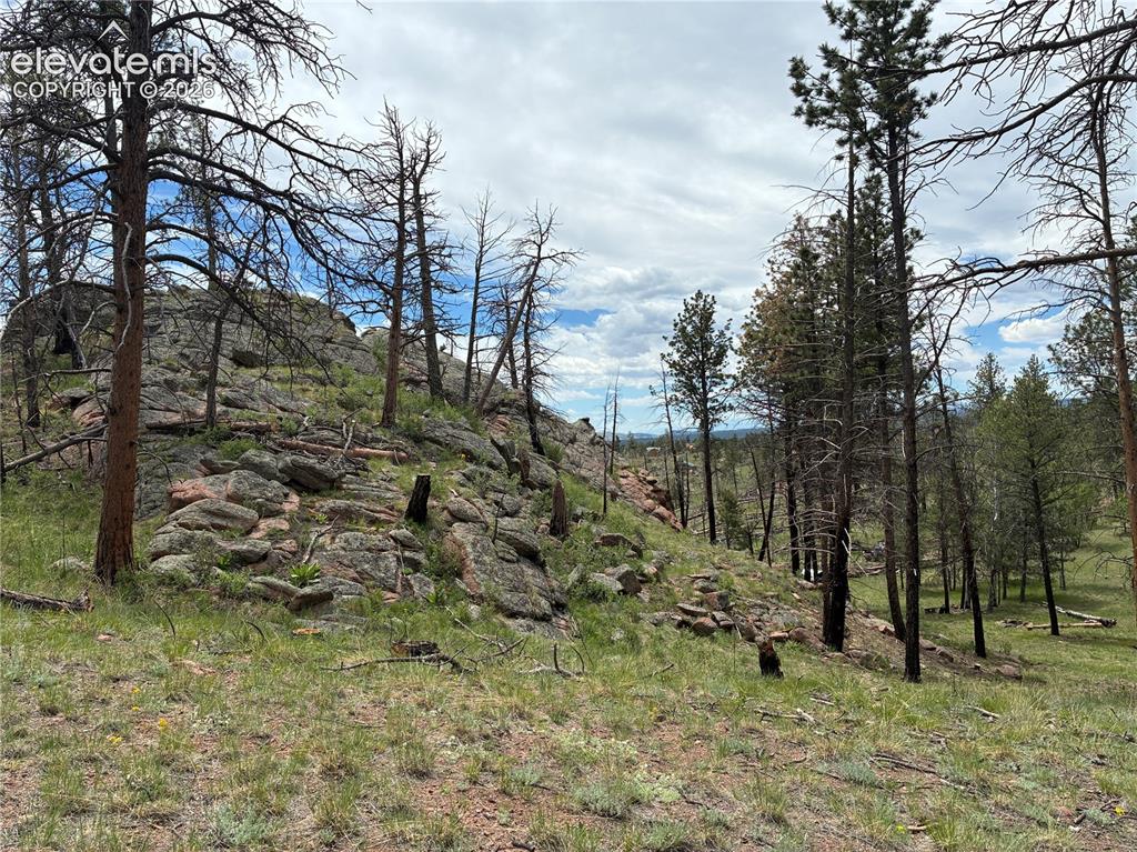 266 Chapparal Trail