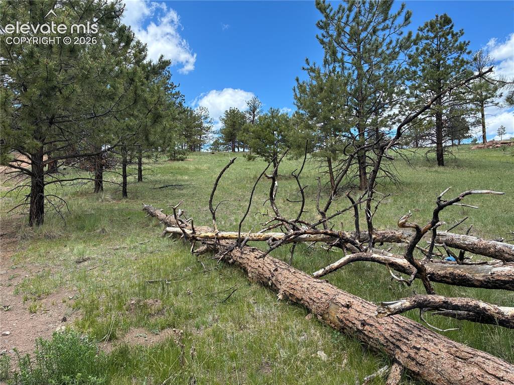 266 Chapparal Trail