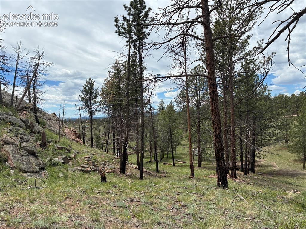 266 Chapparal Trail