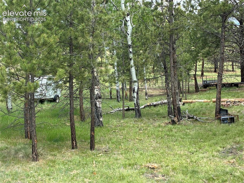 266 Chapparal Trail