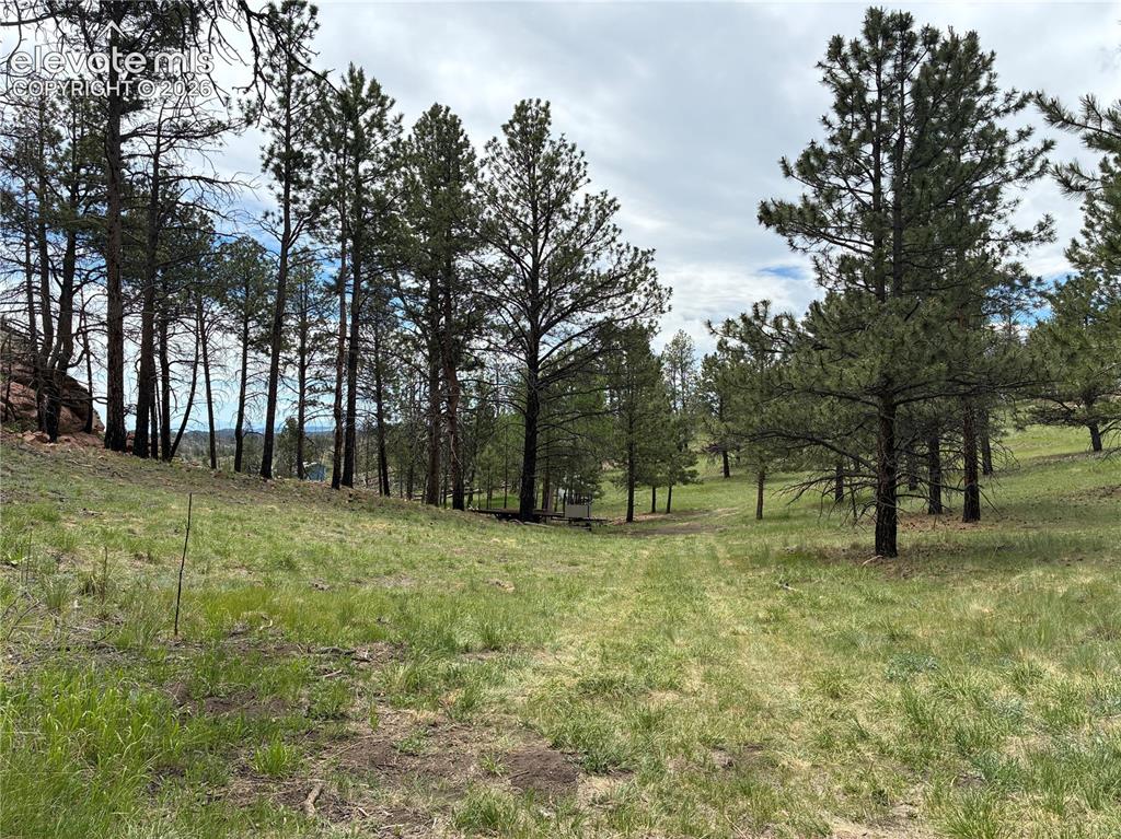 266 Chapparal Trail