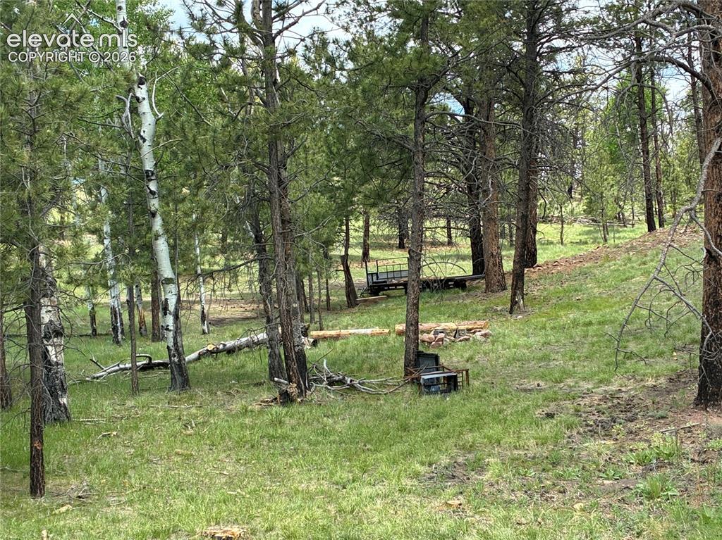 266 Chapparal Trail