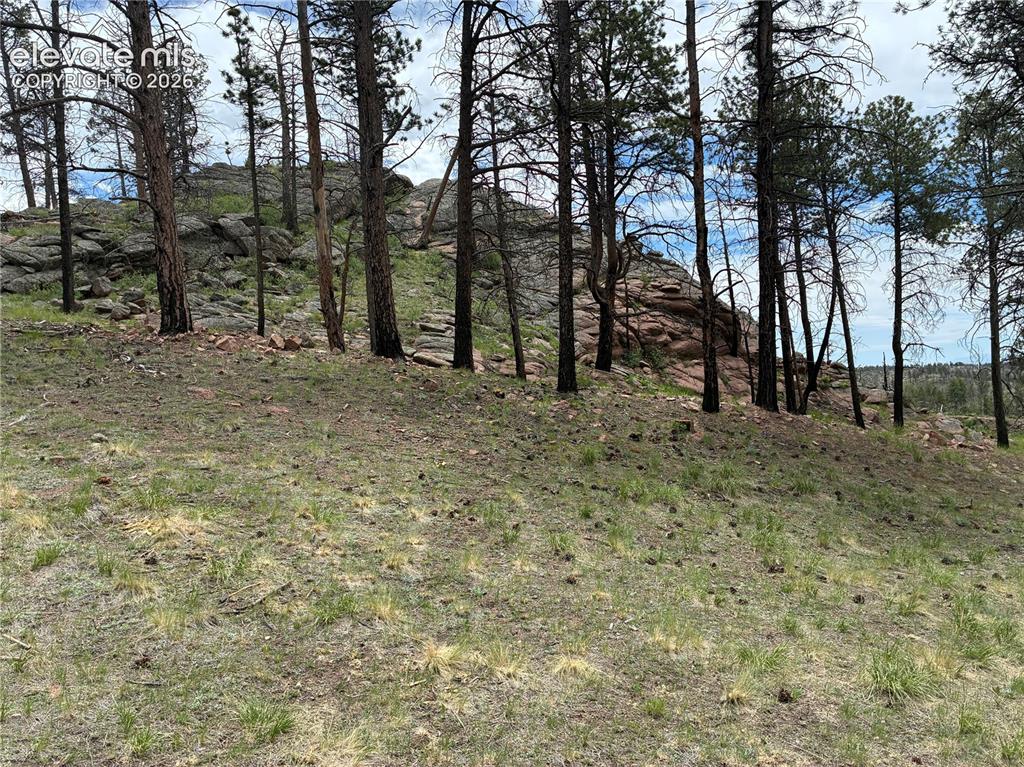 266 Chapparal Trail