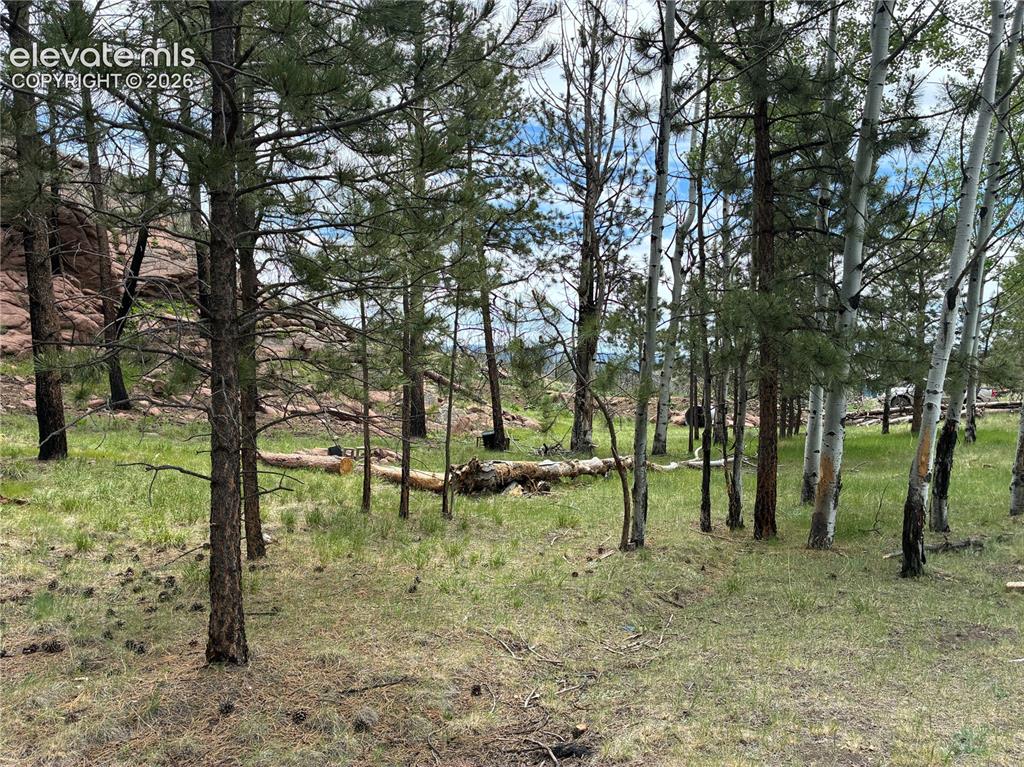 266 Chapparal Trail