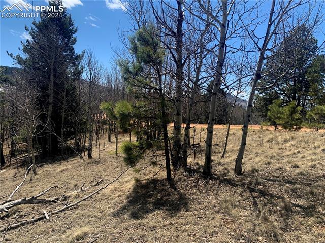 1188 May Queen Drive