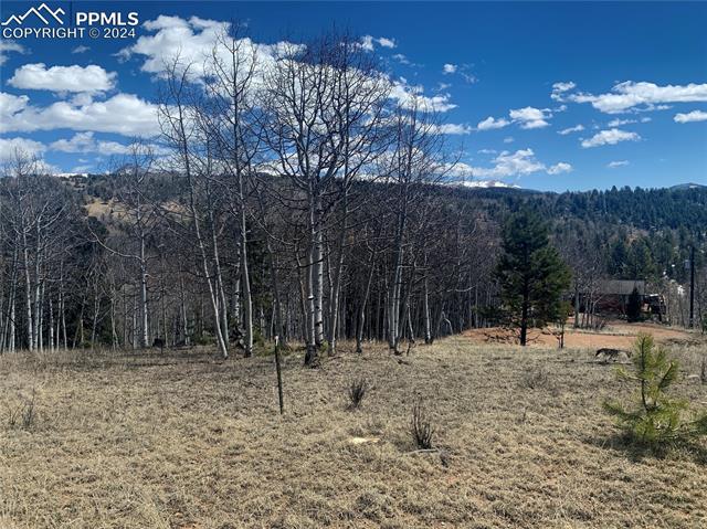 1188 May Queen Drive