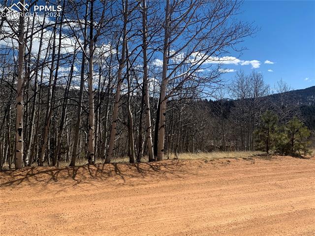 1188 May Queen Drive