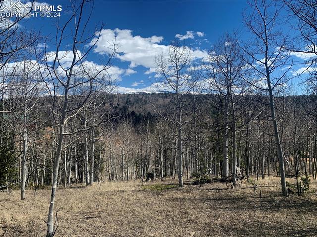 1188 May Queen Drive