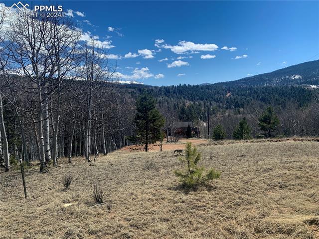 1188 May Queen Drive