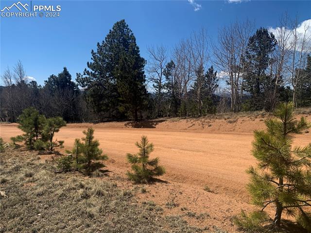 1188 May Queen Drive