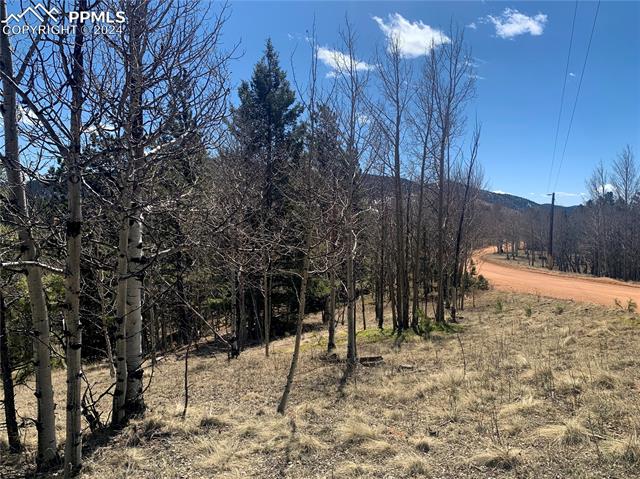 1188 May Queen Drive