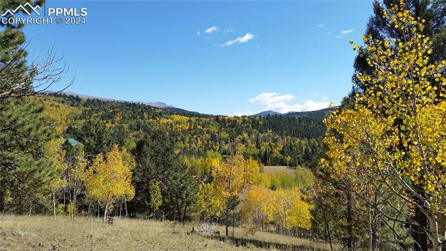 1188 May Queen Drive