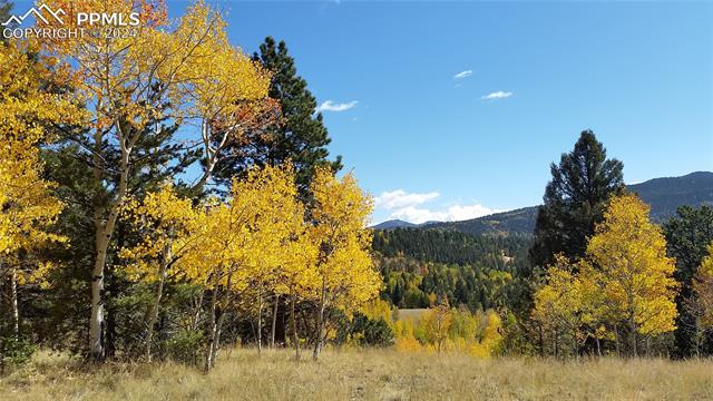 1188 May Queen Drive