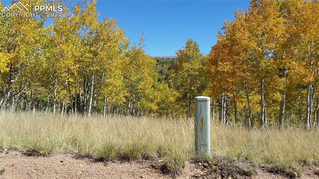 1188 May Queen Drive