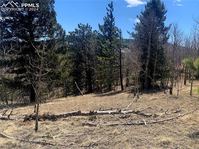 1188 May Queen Drive