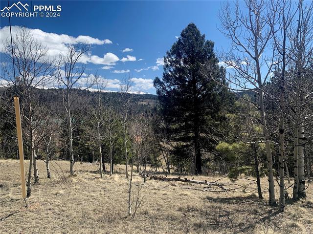 1188 May Queen Drive