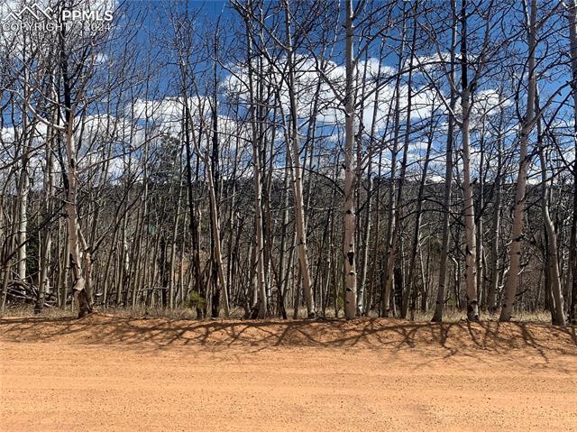 1188 May Queen Drive