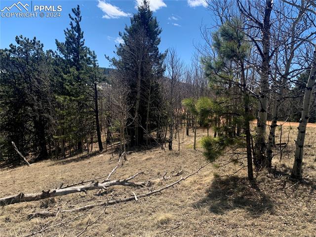 1188 May Queen Drive