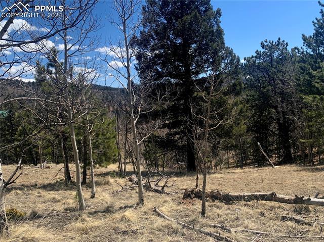 1188 May Queen Drive