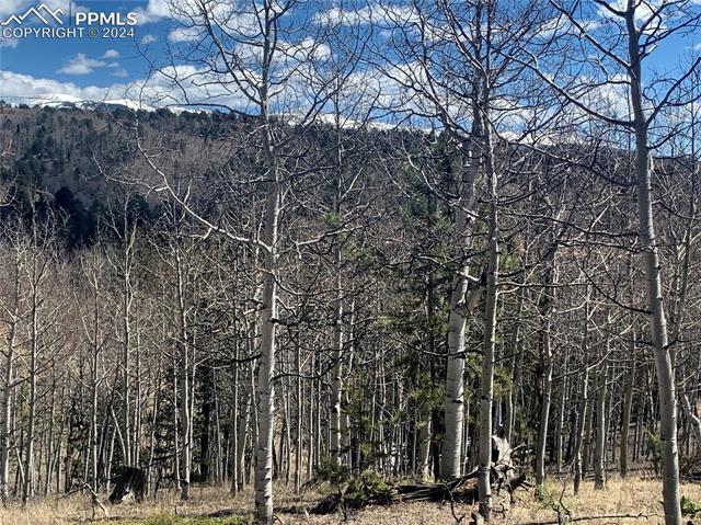 1188 May Queen Drive