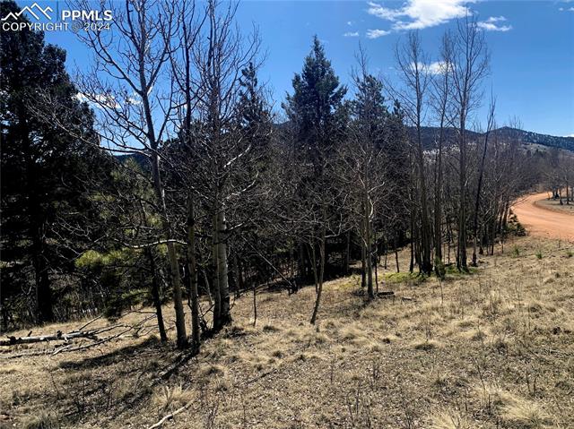 1188 May Queen Drive