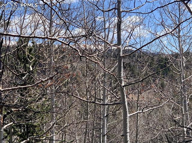 1188 May Queen Drive