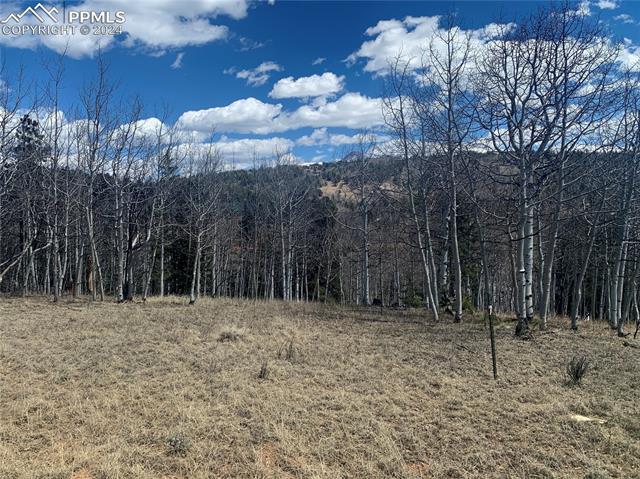 1188 May Queen Drive