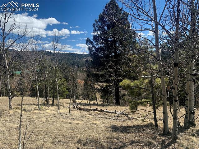 1188 May Queen Drive