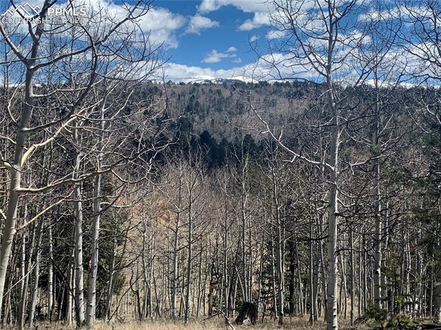 1188 May Queen Drive