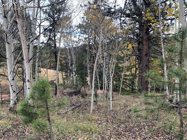 1188 May Queen Drive