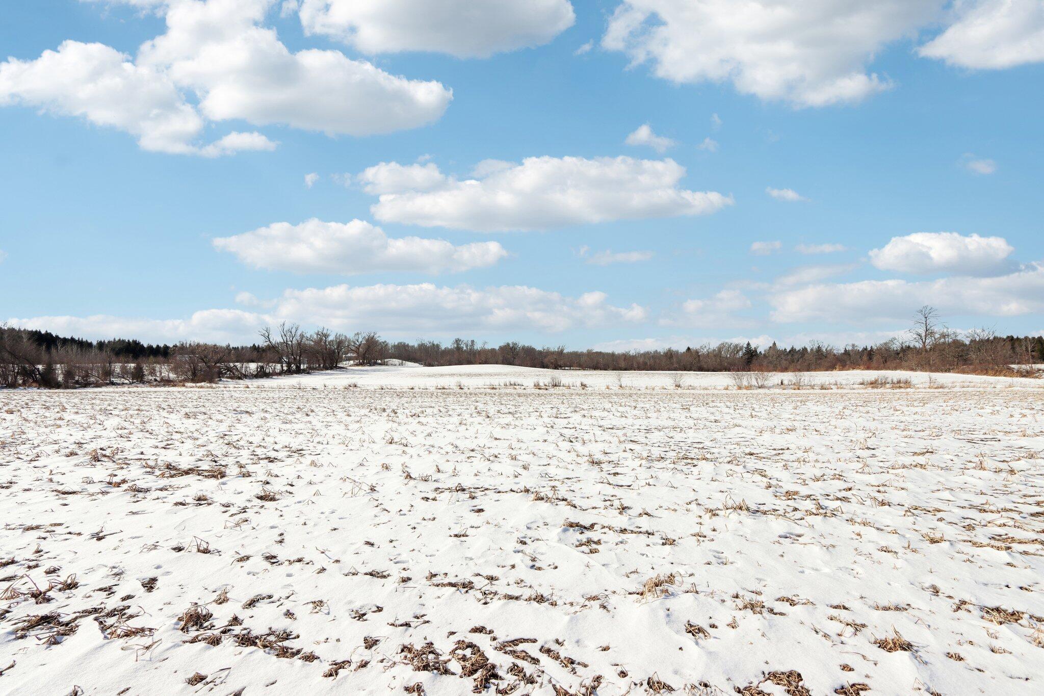 W9160 Deer Rd