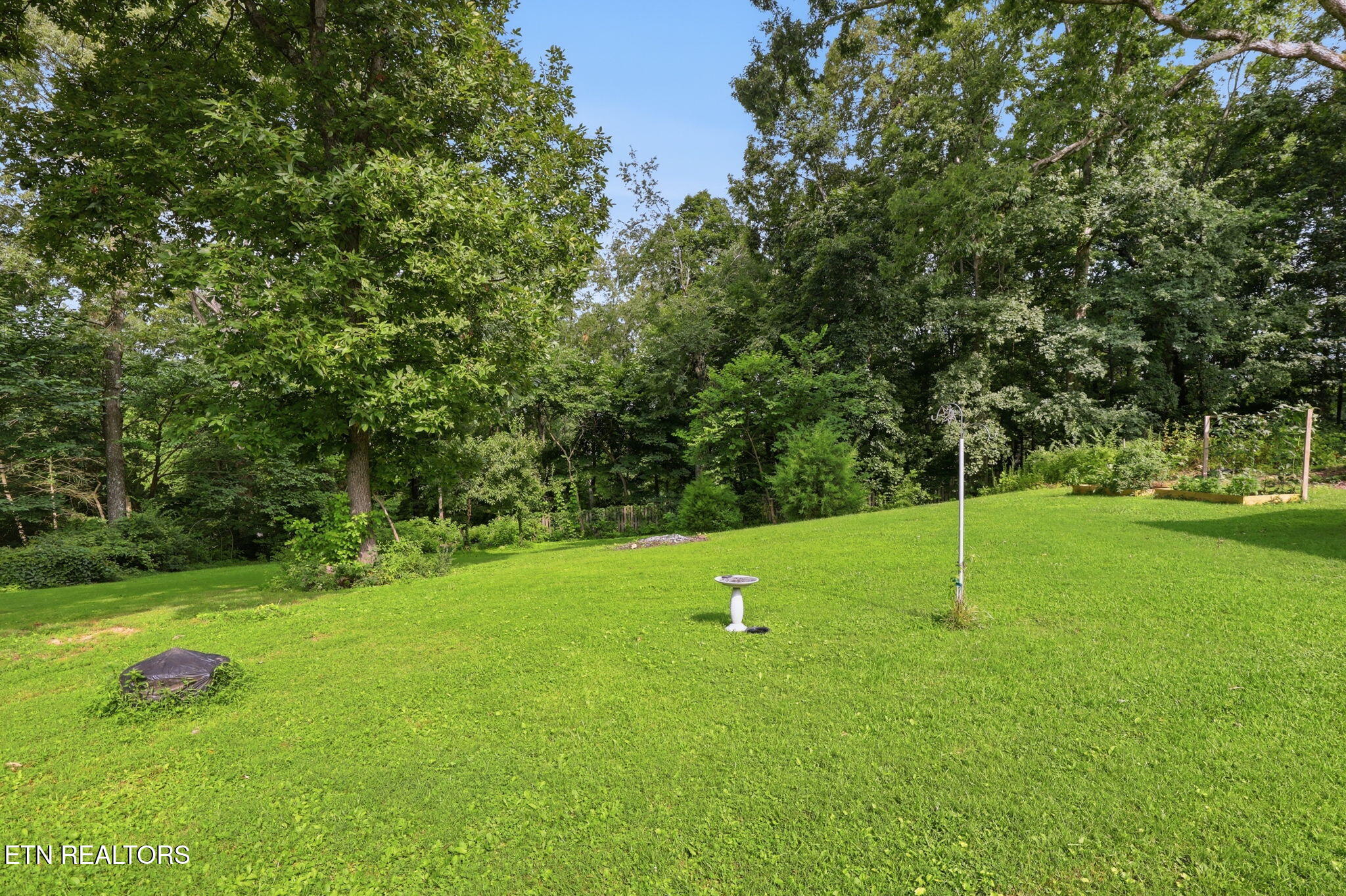 11141 Sonja Drive
