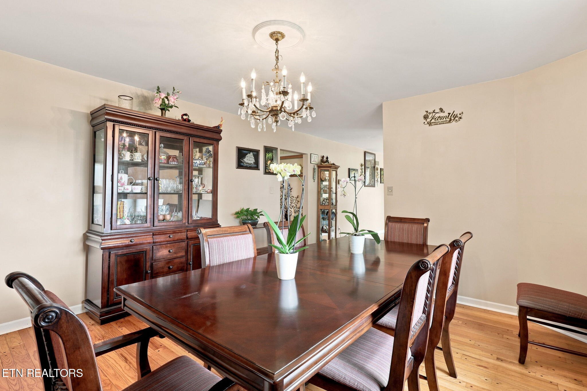 11141 Sonja Drive