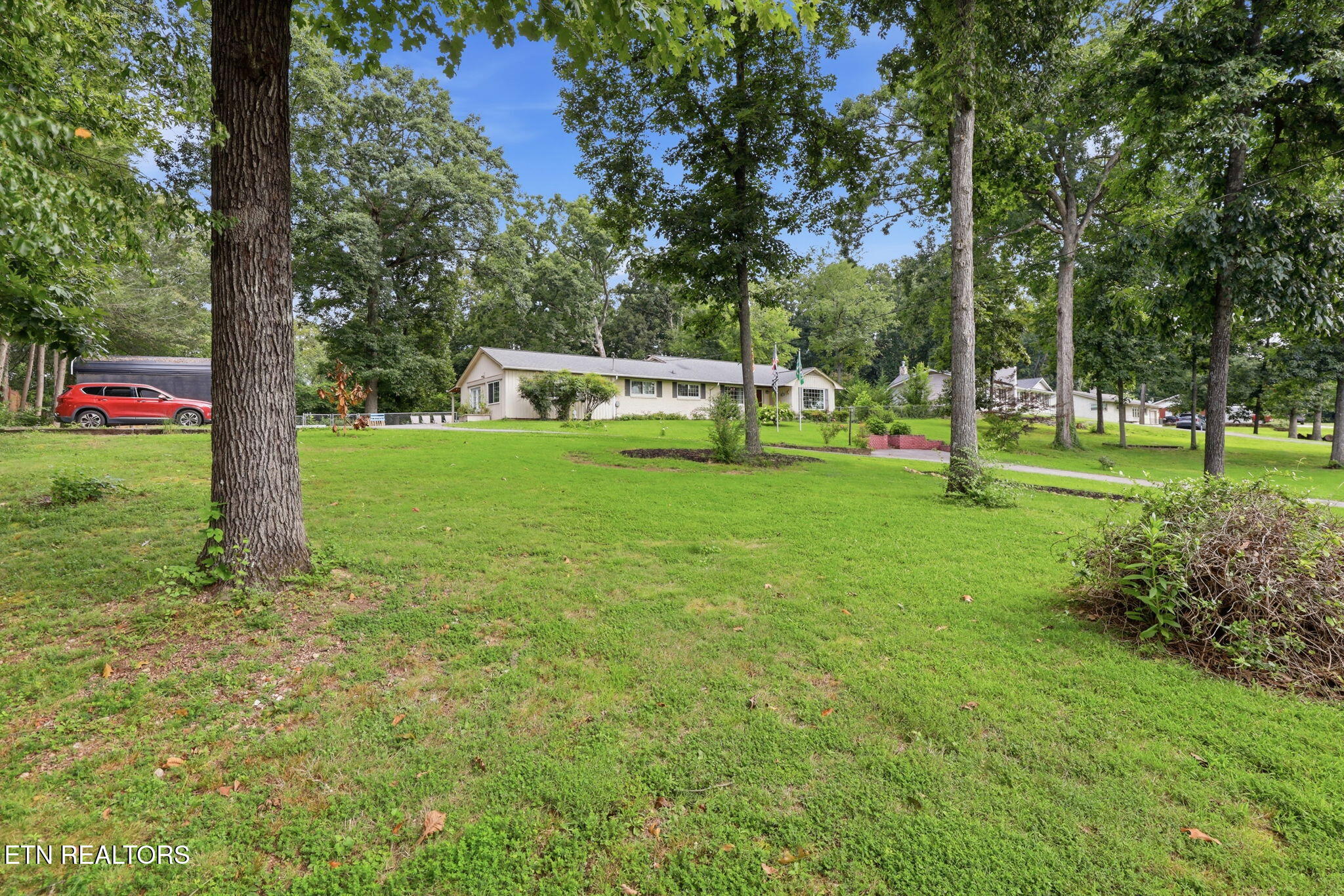 11141 Sonja Drive