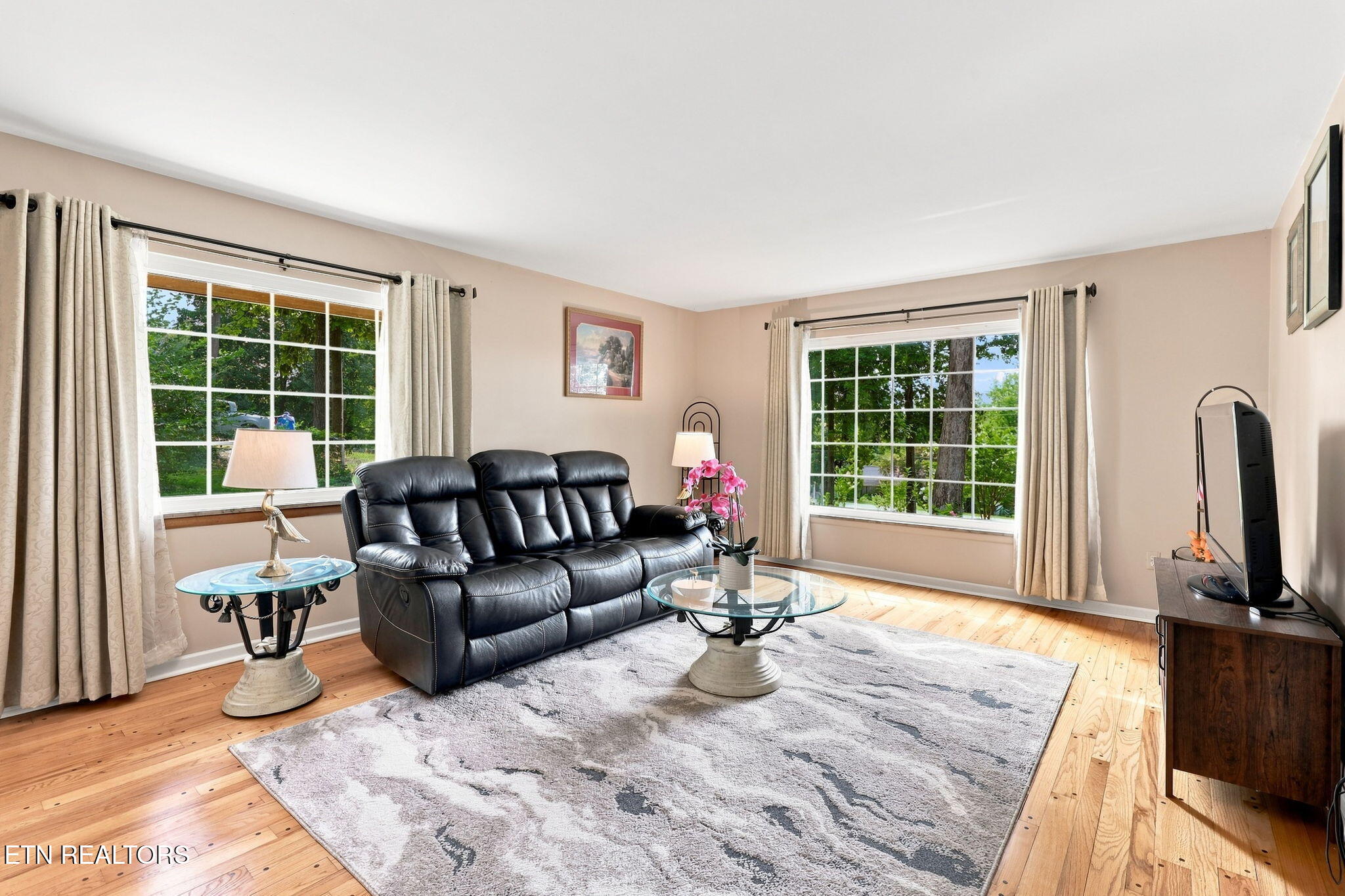 11141 Sonja Drive