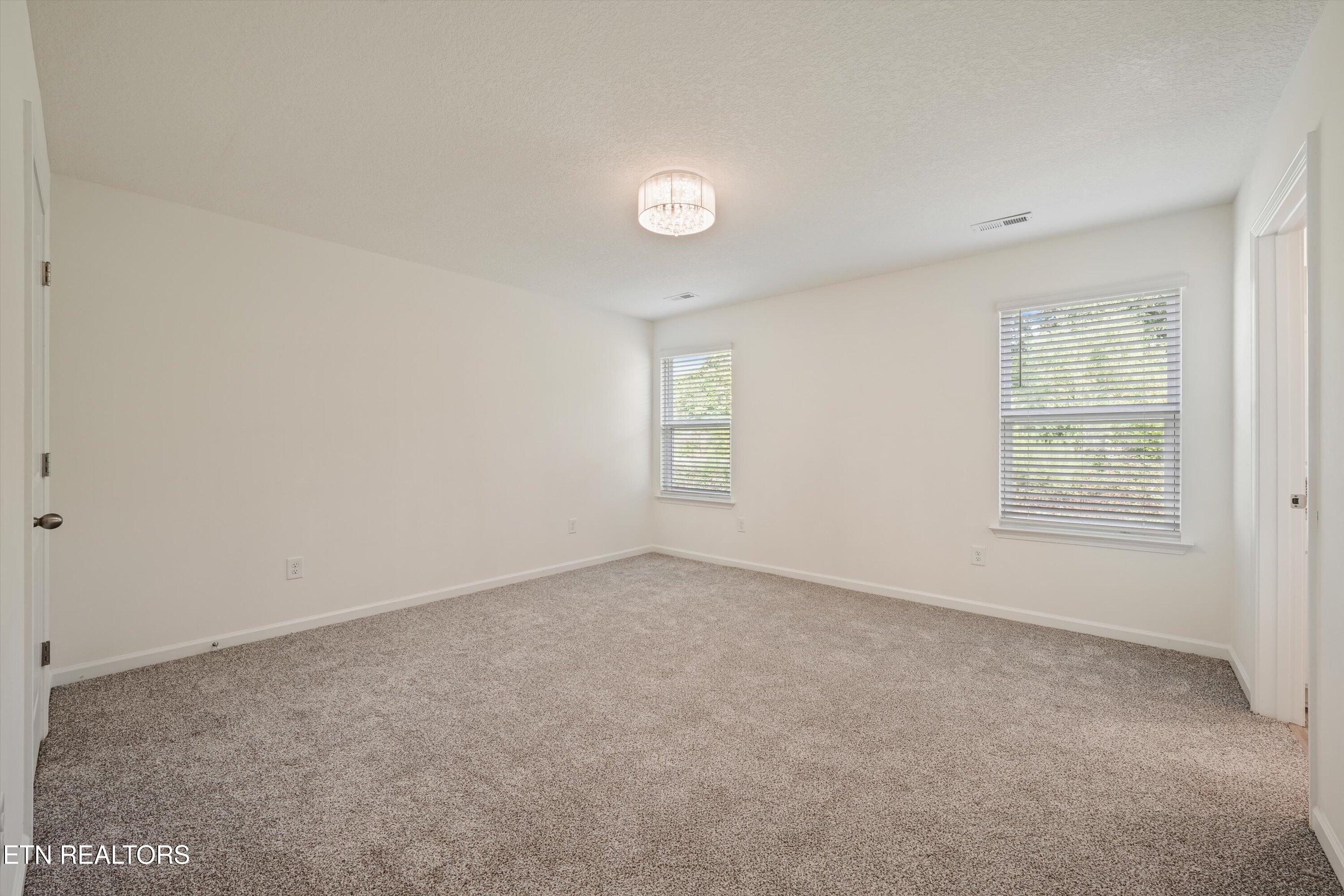 Empty carpeted bedroom with two windows and a ceiling light.