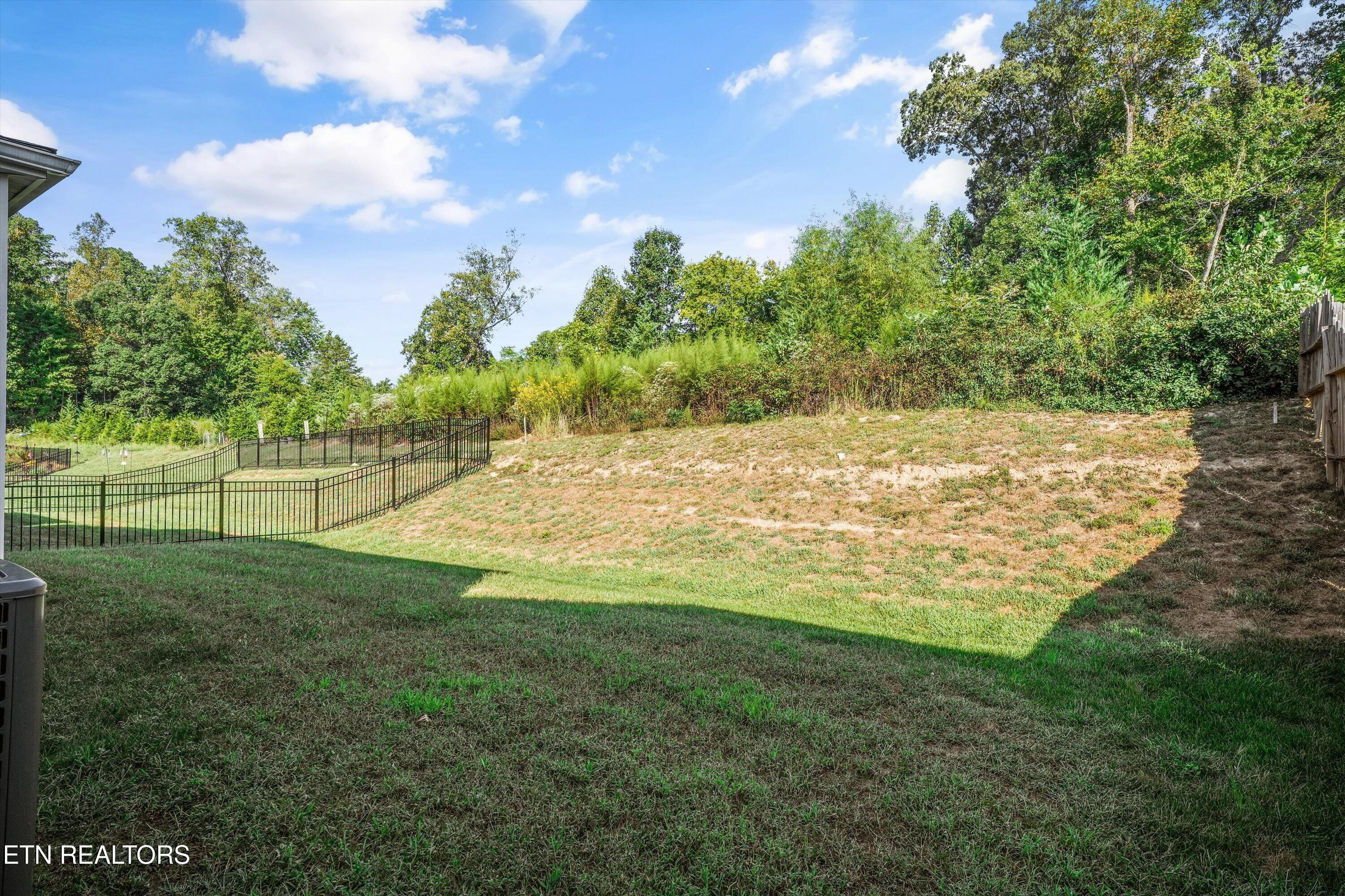 Sloped backyard with patchy grass, a fenced level lawn, and dense trees along the rear boundary.