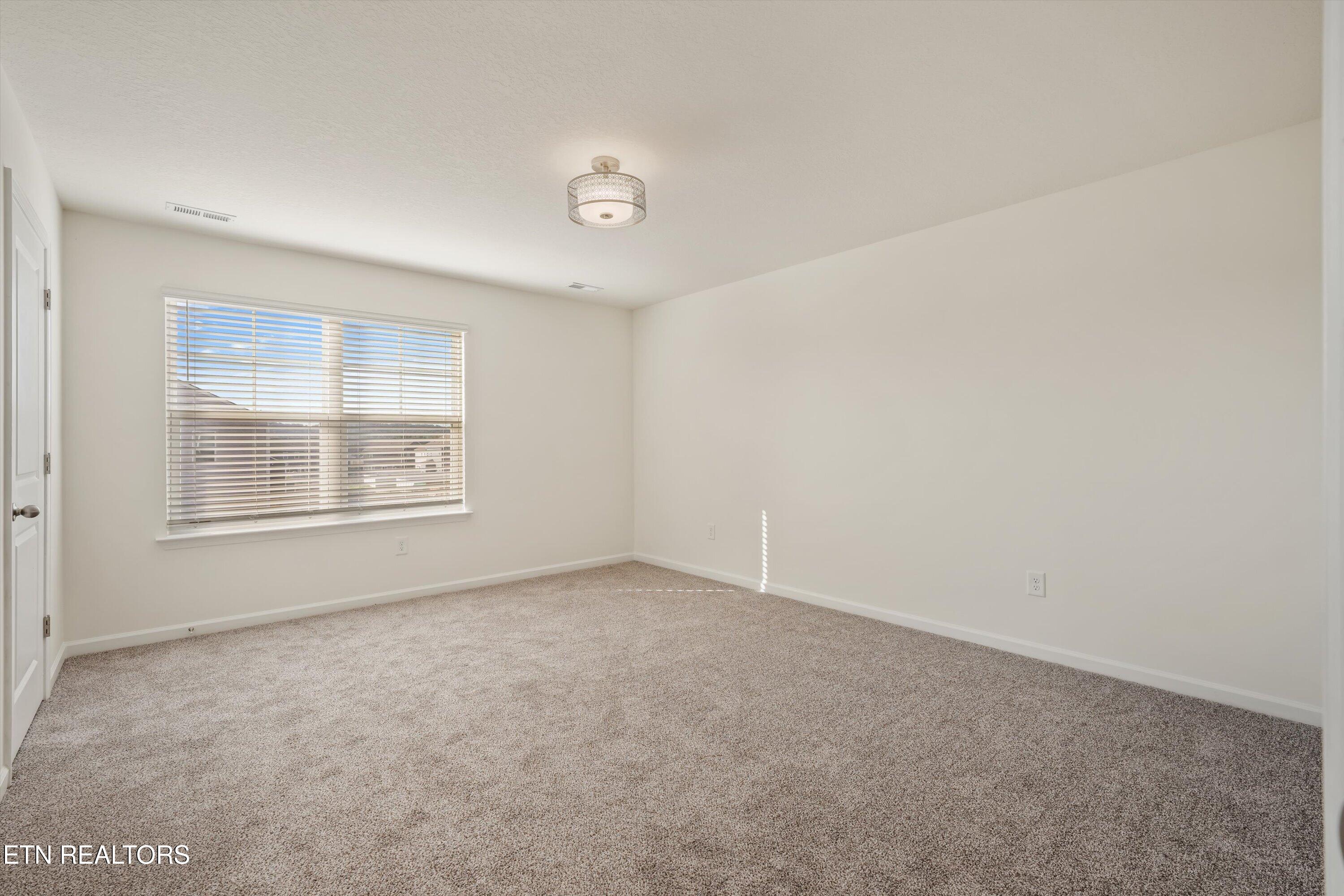 Empty carpeted room with a wide window and white blinds.