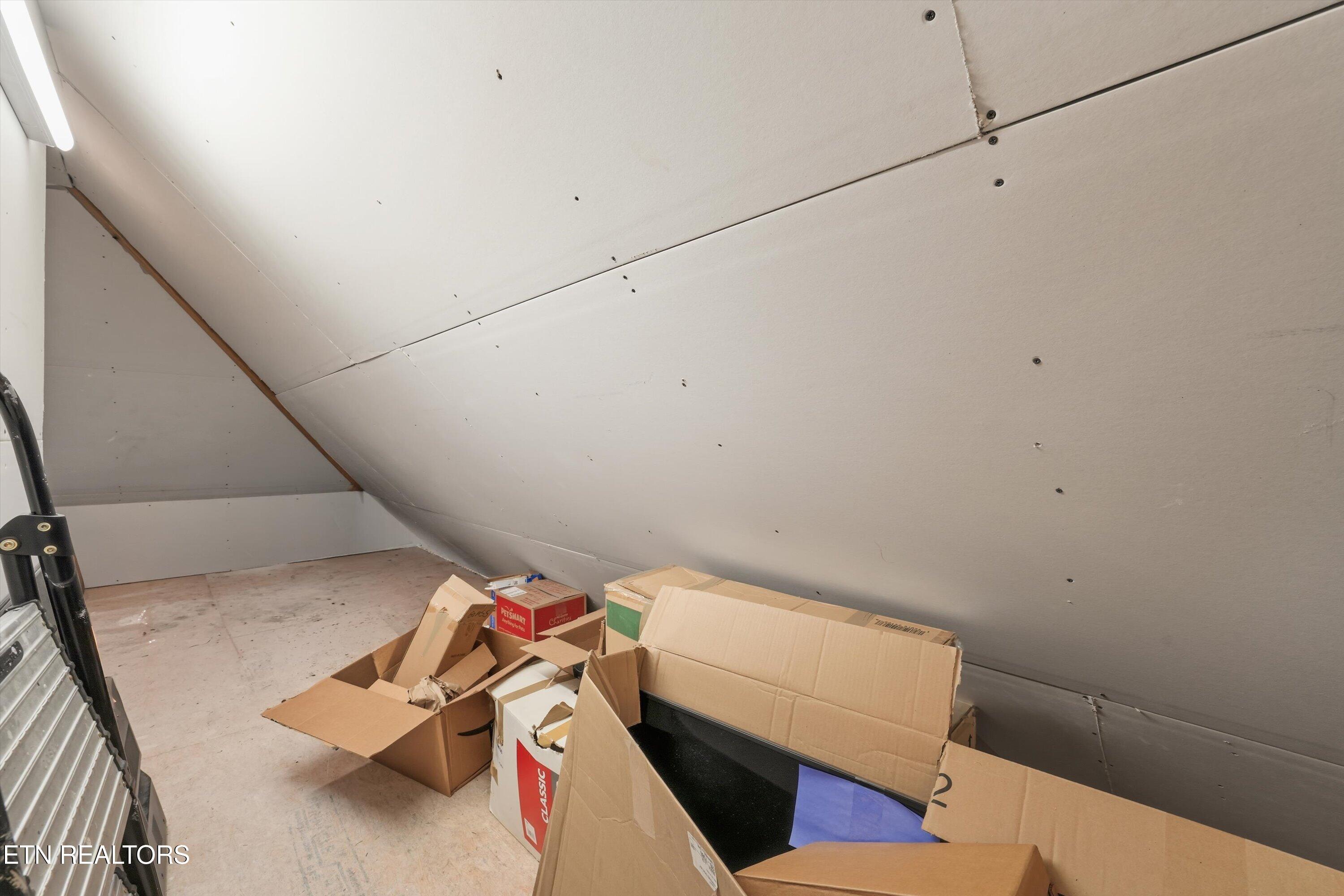 Unfinished attic storage area with sloped ceiling panels, cardboard boxes, and a ladder.