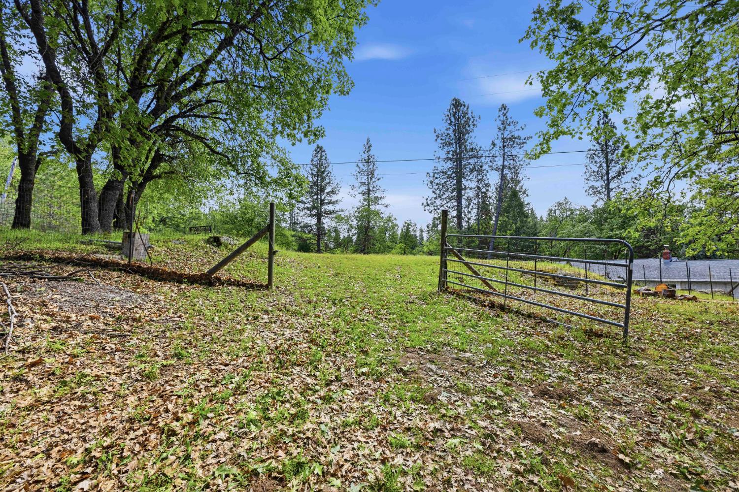 6169 Sweeney Road